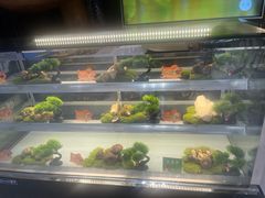 -一朵菌·野生菌探索家火锅(南亚店)
