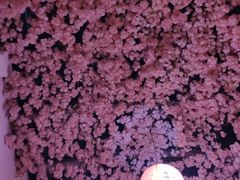 -浦·传统日式料理(3 5 1 1 店)