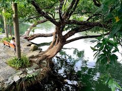 -荔枝公园(福田区)