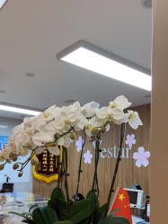 -Yestar宁波艺星整形医院