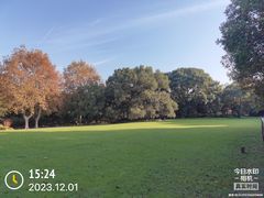 -上海共青森林公园