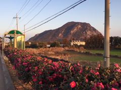 -济州山房山碳酸温泉