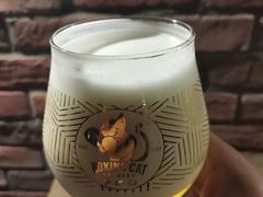 -Boxing Cat Brewery拳击猫精酿啤酒馆(永福店)