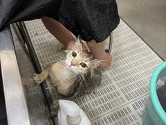 -总动员动物医院(宝丰院店)