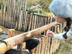 -泉州海丝野生动物世界