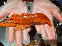-红盔甲·小龙虾(人民广场店)