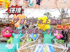 -重庆海昌加勒比海水世界