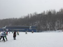 -亚布力新体委滑雪场