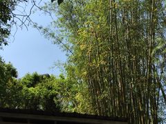 -新竹里馆·花园餐厅(兴苑路店)