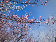 -白塘生态植物园