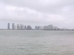 -万绿园