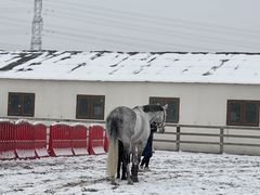-北京群众马术培训基地