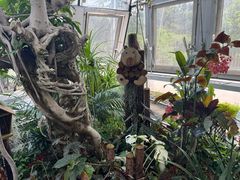 -北京植物园-展览温室