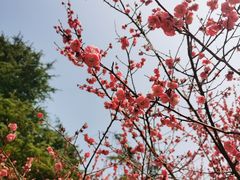 -白塘生态植物园