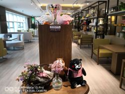 点击看大图 -雪绒花月子会所(万安店)