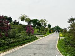 -东莞植物园