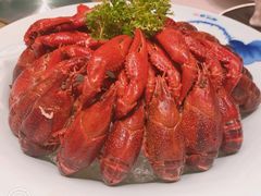-天福苑(崇宁路店)