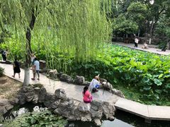-莲湖公园