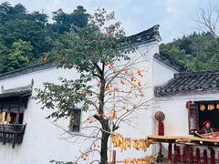 -婺源风景区