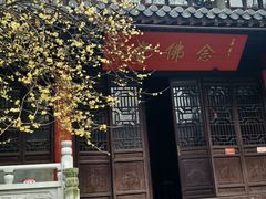 -灵谷景区