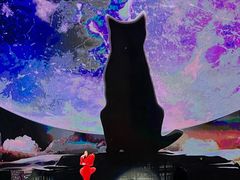 -上海体育场