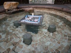 -天目湖涵田半山温泉