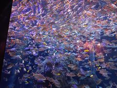 -成都浩海立方海洋公园