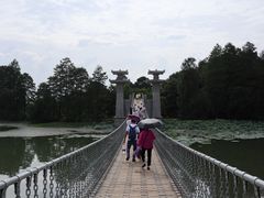 -东湖落雁景区