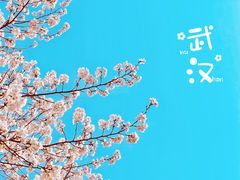 -堤角公园
