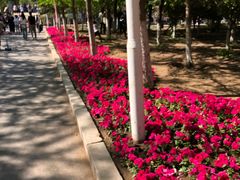 -长白岛森林公园