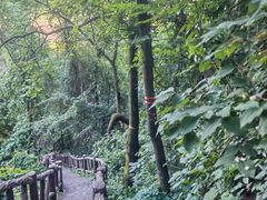 -秦岭终南山世界地质公园翠华山景区
