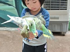 -正佳雨林生态植物园