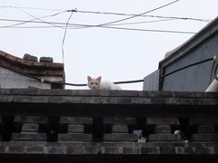 -静一餐厅·湖北菜(前门店)