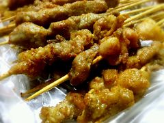 -孙阁老油炸羊肉串(制锦市店)