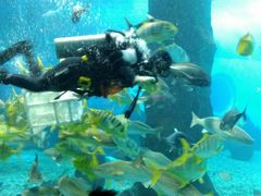 -北戴河圣蓝海洋公园