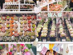 -KKV(深圳宏发大仟里店)