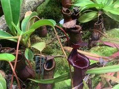 -国家植物园南园