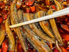 -情妹耙泥鳅·江湖川菜(科华店)