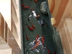 -九田家黑牛烤肉料理(衡百国际店)