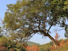 -广州市白云山风景名胜区