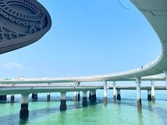 -演武大桥观景平台