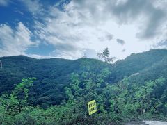 -马峦山郊野公园