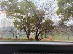 -馨果汇月子产康中心(南湖公园店)