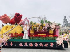 -荷兰花海