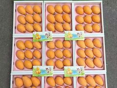 -Hopo Snow 城市滑雪空间(来福士广场购物中心店)