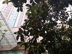 -浙江大学医学院附属第二医院(解放路院区)