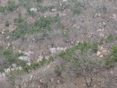 -天津盘山风景名胜区