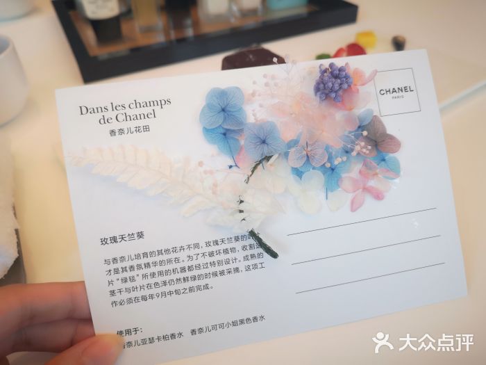 CHANEL(银座商城店)图片