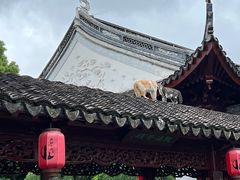 -檀园