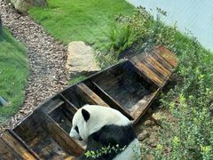 -无锡动物园·太湖欢乐园